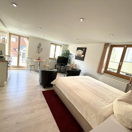 זיגמרינגן Apartment Am Schloss מראה חיצוני תמונה